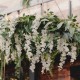 GIRLANDA weselna do dekoracji Naturalna 1,7m